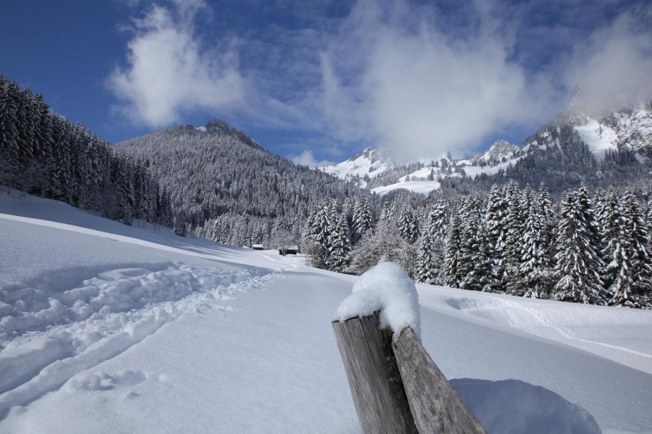 Heerlijke Wandel Of Ski Vakantie In Torgon Portes Du Soleil Exterior photo
