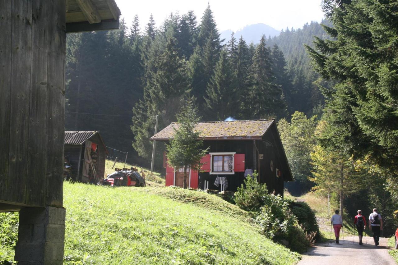 Heerlijke Wandel Of Ski Vakantie In Torgon Portes Du Soleil Exterior photo