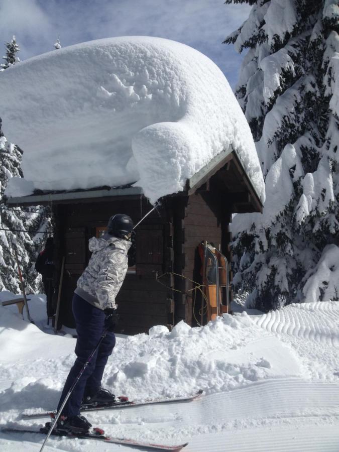 Heerlijke Wandel Of Ski Vakantie In Torgon Portes Du Soleil Exterior photo